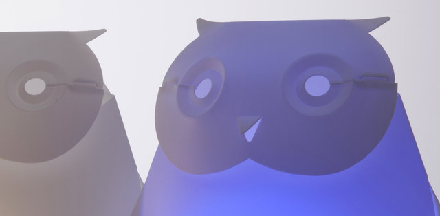 owl / smart GIFT